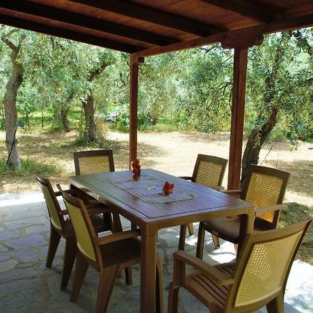 Ktima Elia Villa Skala Sotiros Exterior photo